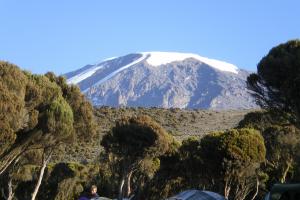 2019 - Kilimanjaro