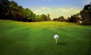 Donderdag 7 september 2017 gaat het VDT weer Golfen voor Kenia